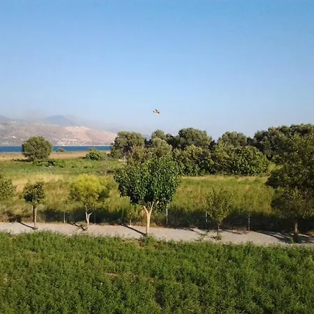 Liza リクスリオン